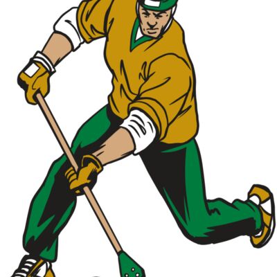 AR20 BROOMBALL 12 RQC Thumbnail