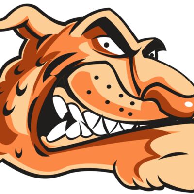 CHEETAH HD0503 RQC Thumbnail