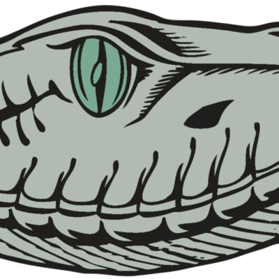 BAW SNAKE 10 RC Thumbnail