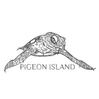 Pigeon Island Kids Hawksbill Turtle Premium Eco-Cotton t Design