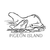 Pigeon Island Kids Dolphin Premium Eco-Cotton t Design