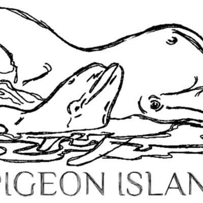 dolphin Shirt Thumbnail